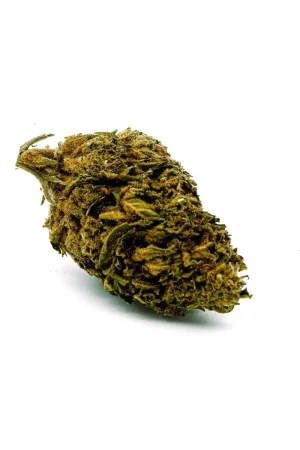 Buy Strawberry Cough Delta 8 Weed Flower