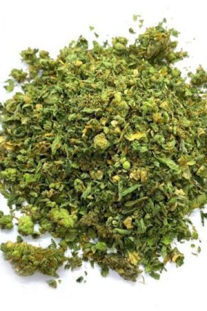 Amnesia Cannabis Shake
