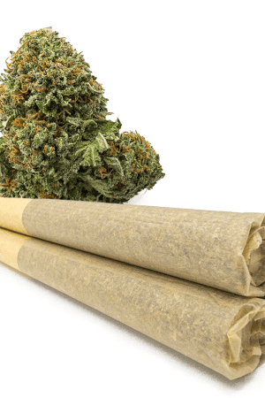 Buy 0.9 Gram Elmer’s Glue Pre-Rolled Joints
