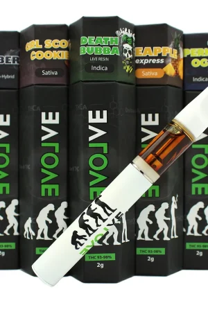 Buy Evolve Disposable Vape Pen 2g