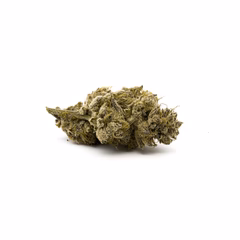 Buy Maria's Cookies THCa Flower