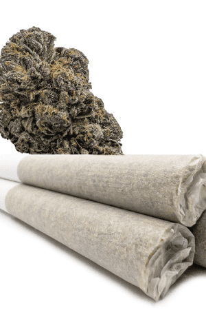 Buy Scooby Snacks 0.9 Gram Pre-Rolled Joints