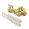 Buy THCa Marijuana Prerolls