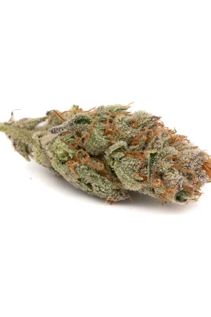 Jelly Donut THCa Weed Flower