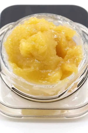 King Tut Strain Cannabis Live Resin