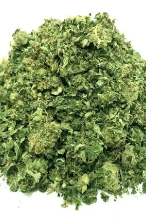 King Tut Strain Premium Grade Weed Shake