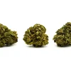 Pluto THCa Hemp Flower EU