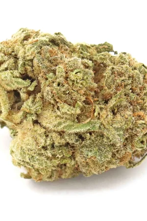 Blue Widow Strain Flower – Hybrid