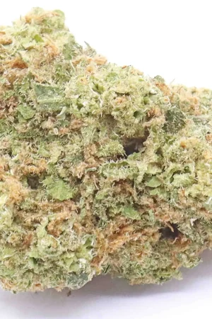 Blueberry Indica Dominant Hybrid Strain