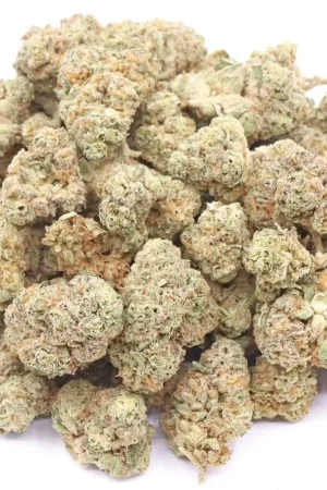 Buy OG Cheese Strain AAA Small Buds