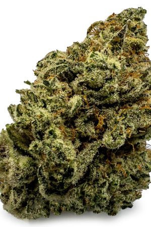 Buy Tropic Truffle Weed