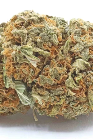 Cannatonic Hybris Weed Strain