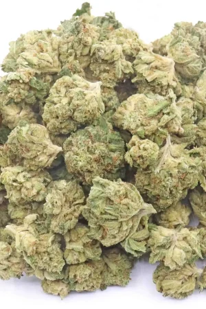 Ewok Strain Small Buds - Híbrid