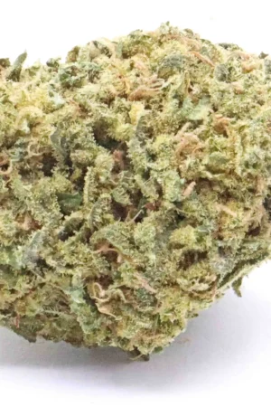 G13 Strain Indica Flower
