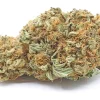 Gary Payton Hybrid Strain