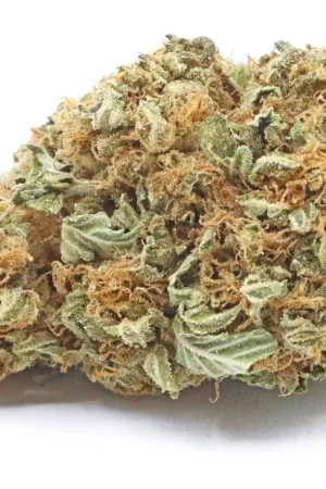 Gary Payton Hybrid Strain