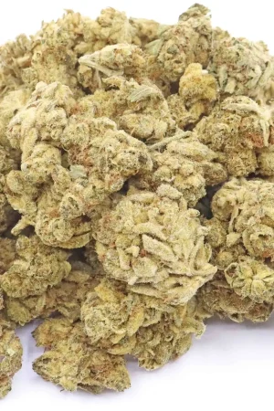 Glazed Apricot Gelato Strain