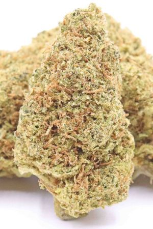 Glueberry OG Strain – Hybrid