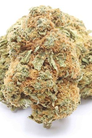 Gosh Hybrid Weed Strain