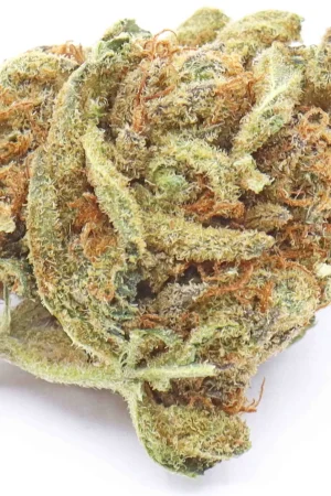 Grape Ape Weed Strain
