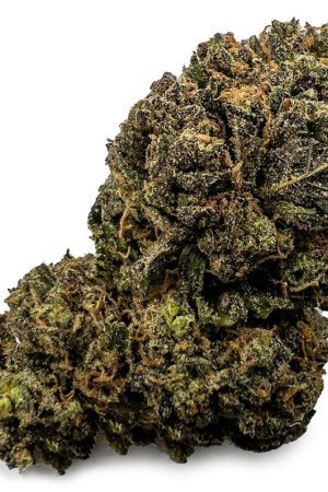 Grape Gasoline Weed Strain