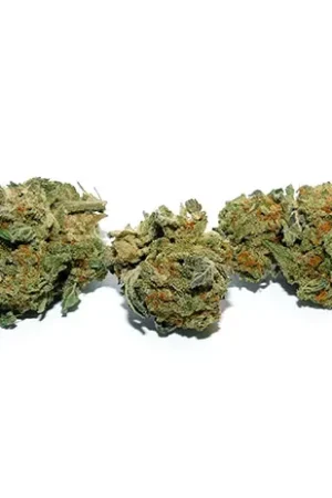 Gushers Indica Dominant Hybrid Strain