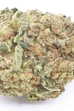 High Country Diesel Weed Strain