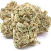 Holy Grail Cannabis Strain