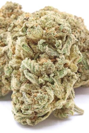 Holy Grail Cannabis Strain