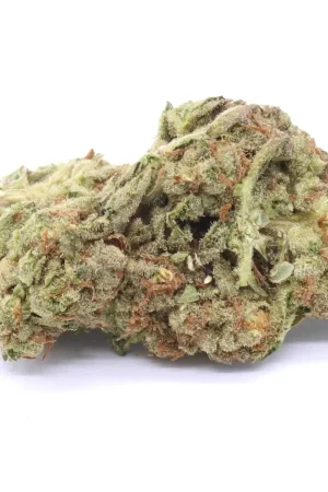 Pink Kush Marijuana Strain